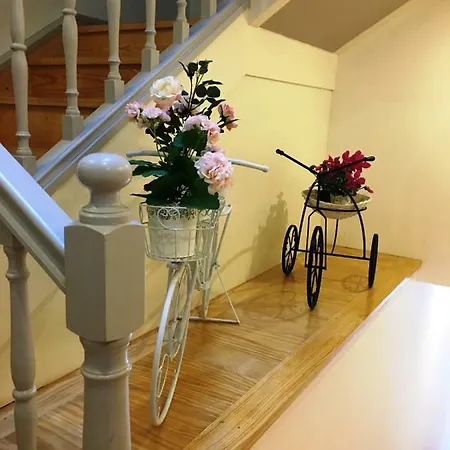 招待所 Isis 布拉加